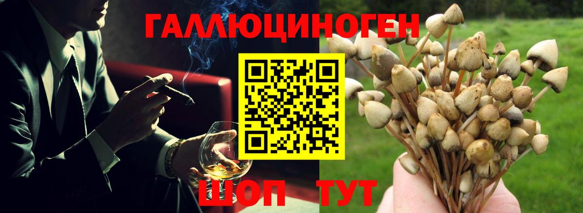 Галлюциногенные грибы Cubensis Губкинский